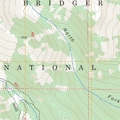 Rendezvous Peak, WY FSTopo Legacy Preview 3