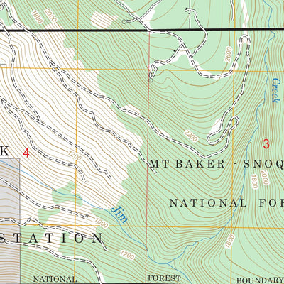 Riley Lake, WA FSTopo Legacy Preview 3