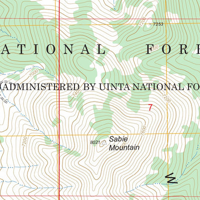 Sabie Mountain, UT FSTopo Legacy Preview 3