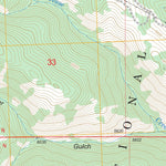 Salmon, ID FSTopo Legacy Preview 3