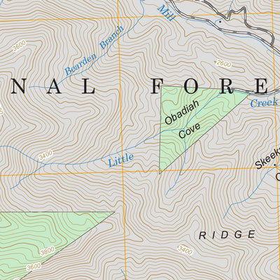 Santeetlah Creek, NC FSTopo Legacy Preview 2