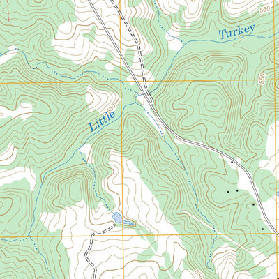 Shoals Junction, SC FSTopo Legacy Preview 3
