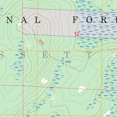 Skibo, MN FSTopo Legacy Preview 2