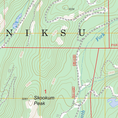 Skookum Creek, WA FSTopo Legacy Preview 2