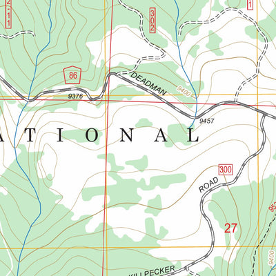 South Bald Mountain, CO FSTopo Legacy Preview 2