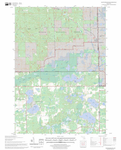 South Branch, MI FSTopo Legacy Preview 1