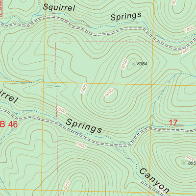 Squirrel Springs Canyon, NM FSTopo Legacy Preview 3