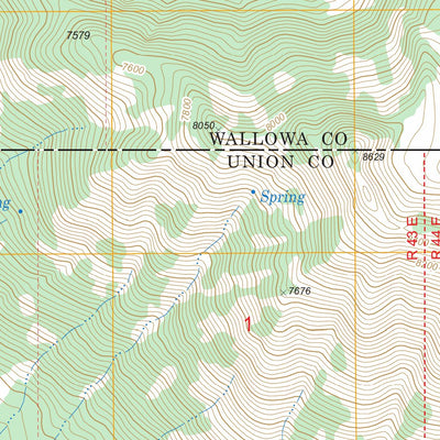 Steamboat Lake, OR FSTopo Legacy Preview 3