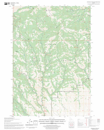 Sturgill Peak, ID FSTopo Legacy Preview 1