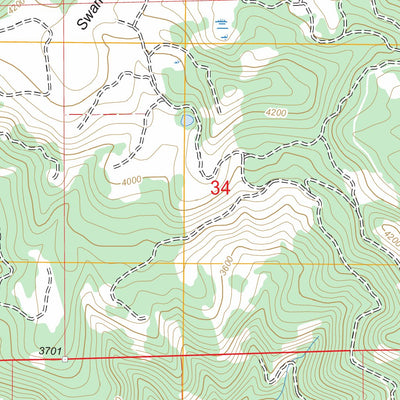 Swamp Mountain, OR FSTopo Legacy Preview 2