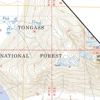 Taku River C-5, AK FSTopo Legacy Preview 3