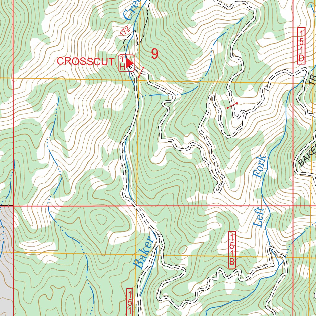 Blue Trinity Map Trinity Mountain, ID FSTopo Legacy Map by US Forest Service - Topo ...