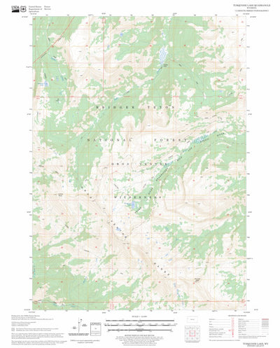 Turquoise Lake, WY FSTopo Legacy Preview 1