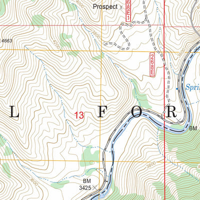 Twin Springs, ID FSTopo Legacy Preview 2