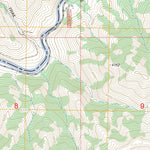 Twin Springs, ID FSTopo Legacy Preview 3