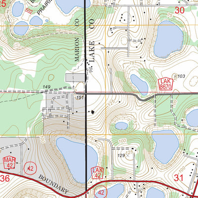 Umatilla, FL FSTopo Legacy Preview 3