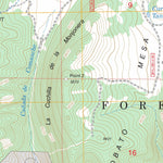 Vallecitos, NM FSTopo Legacy Preview 2