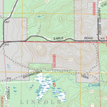 Walkup Lake, MI FSTopo Legacy Preview 3