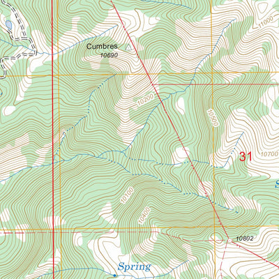West Fork Rio Brazos, NM - CO FSTopo Legacy Preview 3