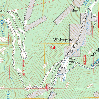 Whitepine, CO FSTopo Legacy Preview 3