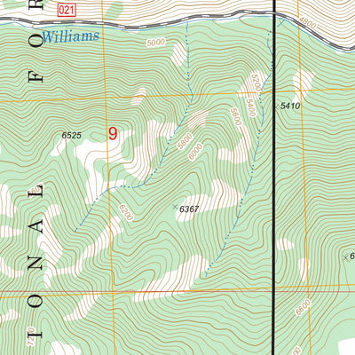 Williams Lake, ID FSTopo Legacy Preview 3