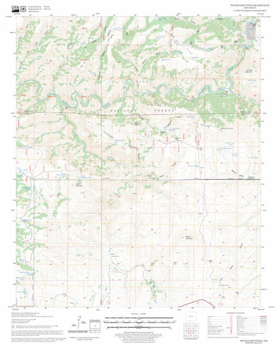 Wilson Mountain, NM FSTopo Legacy Preview 1
