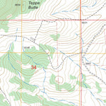 Woodhurst Mountain, MT FSTopo Legacy Preview 2