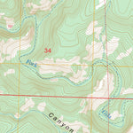 Woodland Park, NM FSTopo Legacy Preview 3