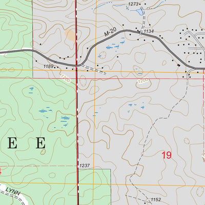 Woodville NE, MI FSTopo Legacy Preview 2