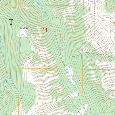 Yellow Mountain, WY FSTopo Legacy Preview 3