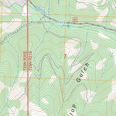 Allan Mountain, ID-MT FSTopo Preview 3