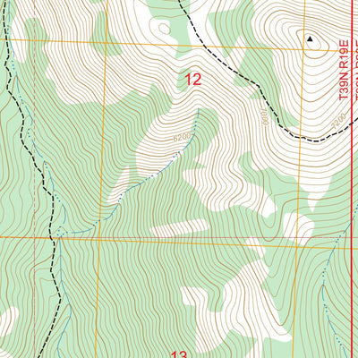 Ashnola Mountain, WA-BC FSTopo Preview 3