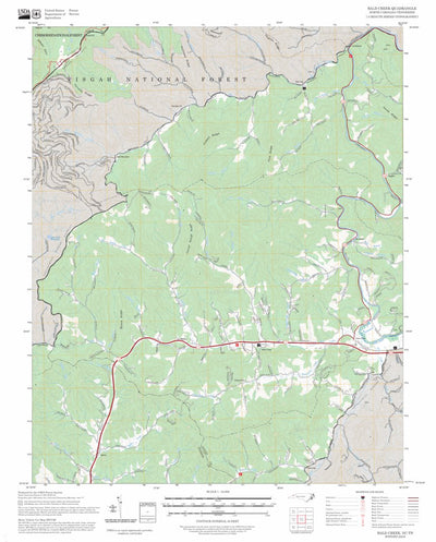 Bald Creek, NC-TN FSTopo Preview 1