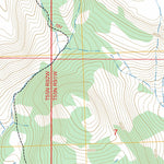 Bald Mountain, WY FSTopo Preview 3