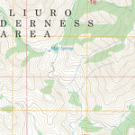 Bassett Peak, AZ FSTopo Preview 2