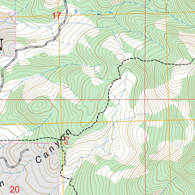 Bayfield, CO FSTopo Preview 3
