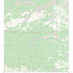 Bear Spring, NM FSTopo Preview 1