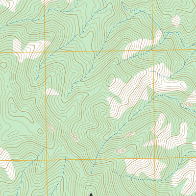 Bear Springs Peak, NM FSTopo Preview 3