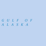 Bering Glacier A-8 OE S NW, AK FSTopo Preview 2