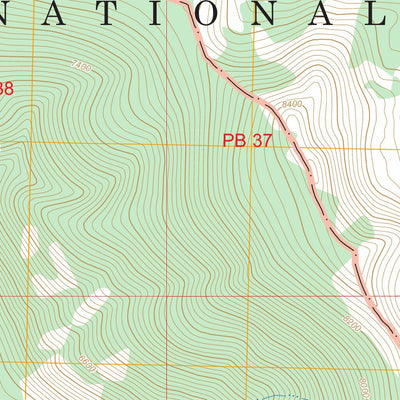 Big Creek, ID FSTopo Preview 2