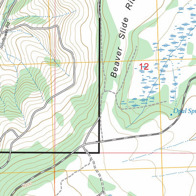 Big Rock Flat, OR FSTopo Preview 2