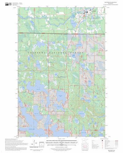 Bigfork, MN FSTopo Preview 1