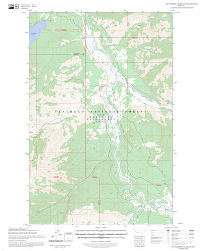 Big Salmon Lake East, MT FSTopo Preview 1