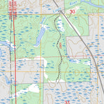 Bird Lake, MN FSTopo Preview 3