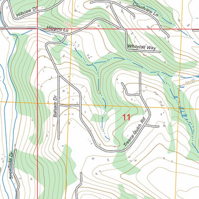 Bing, MT FSTopo Preview 3