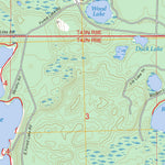 Black Oak Lake, WI-MI FSTopo Preview 3