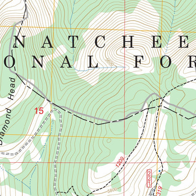 Blewett Pass, WA FSTopo Preview 2
