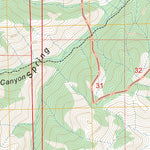 Blue Mountain, NM FSTopo Preview 3