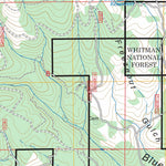 Blue Canyon, OR FSTopo Preview 3