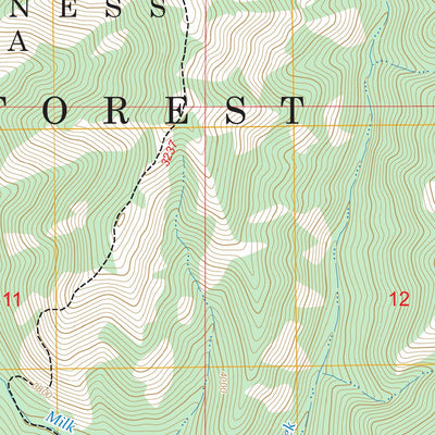 Bone Spring, OR FSTopo Preview 3